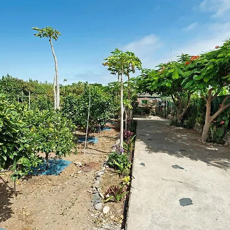 Villa Finca La Suerte Icod De Los Vinos